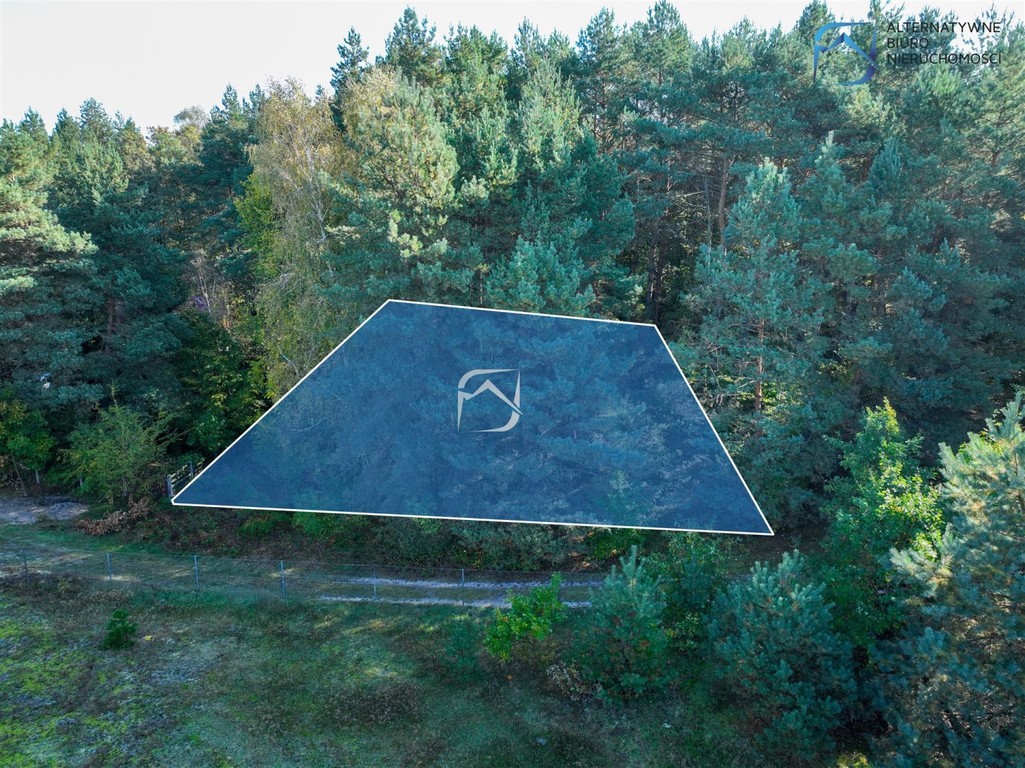 Unikatowa działka budowlana w otulinie lasu - Widok 5