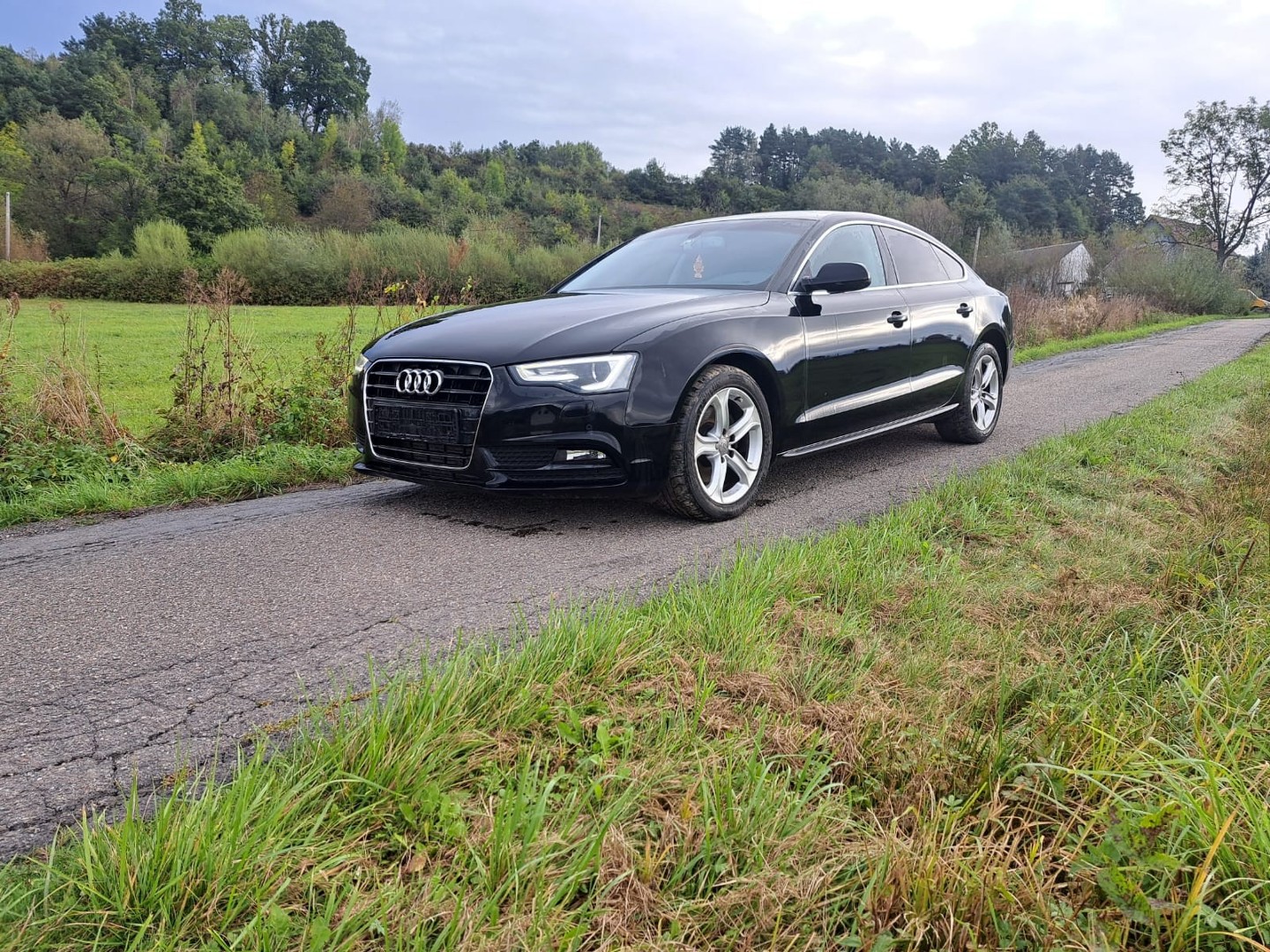 Audi A5 II 2.0 TDI SPORTBACK xenon, led