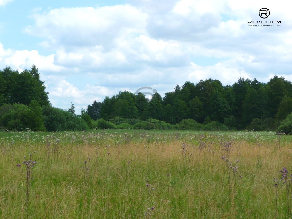 DZIAŁKA 2,38HA|JEZIORO|BORY TUCHOLSKIE - Widok 2