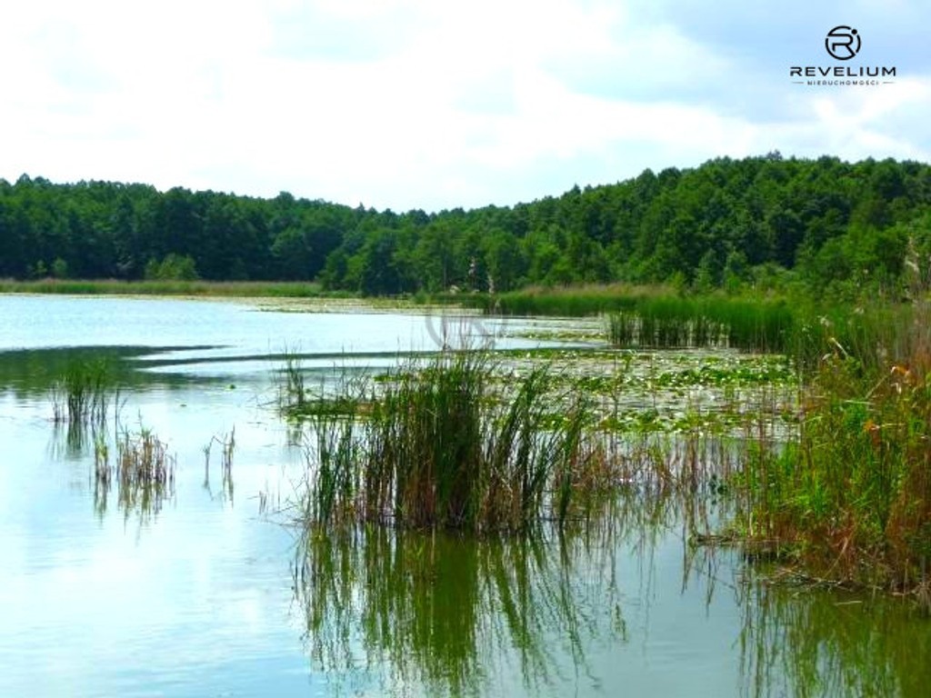 DZIAŁKA 2,38HA|JEZIORO|BORY TUCHOLSKIE - Widok 3