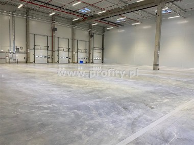 Magazyn 1600m2 | poziom 0 + doki | h: 10,5m-1