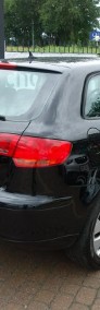 Audi A3 II (8P) Nowy rozrząd olej i filtry Kod silnika BKD 1 lakier Navi Alufelgi-4
