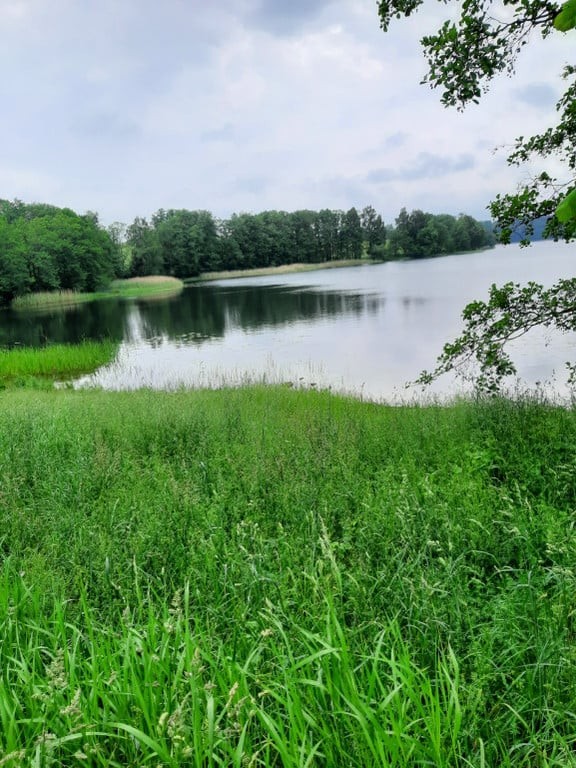 6742 m² | PIASKI | JEZIORO KRZYWE | MEDIA PRZY DZIAŁCE | 220 000 ZŁ - Widok 2