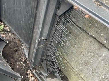 Claas dominator claas Avero kosz sitowy podsiewacz-1