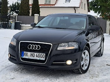 Audi A3 II (8P) * 2.0 COMMON RAiL* BDB STAN* KLiMAtronik* halogeny* podgrzew. fotele-1