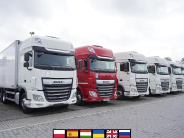 XF 480 E6 6x2 / Chłodnia 18 palet / 6 sztuk_237846-1