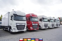 DAF XF 95 XF 480 E6 6x2 / Chłodnia 18 palet / 6 sztuk_237846