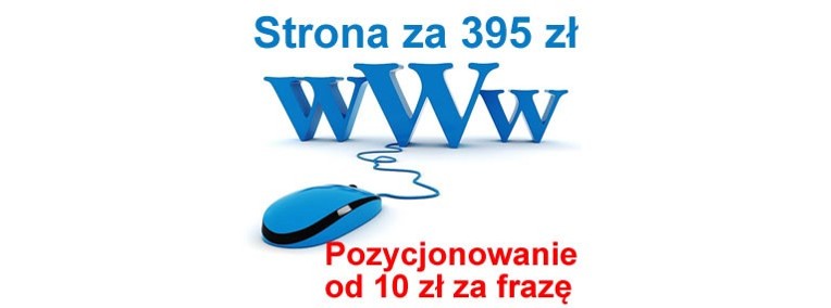 Strona wizytówka Ruda Śląska tania strona internetowa WWW strony mobilne-1