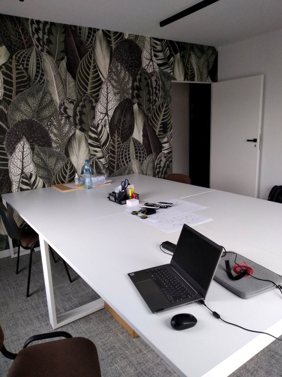 Wynajmę mieszkanie lub lokal usługowy pod biuro, Kraków
