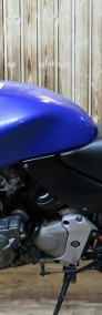 Honda CB HONDA CB600 S Piękna i Zadbany hornet-4