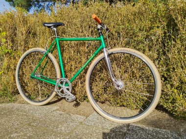 Rower Miejski Singlespeed -1