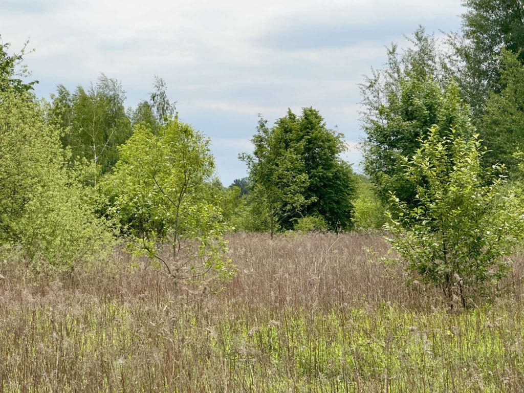 Atrakcyjnie położona działka budowlana. Kawęczynek. – pohled 4