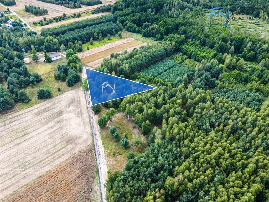 Grunt z potencjałem - 2504 m² - Serniki Kolonia - Widok 2