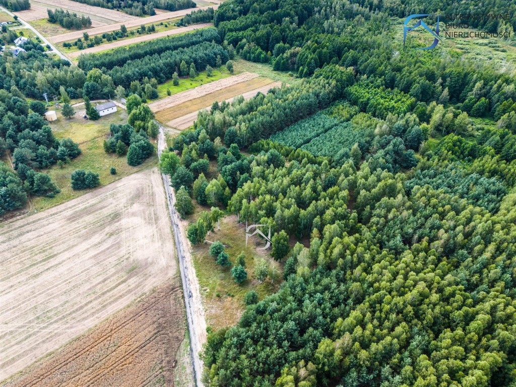 Grunt z potencjałem - 2504 m² - Serniki Kolonia - Widok 3