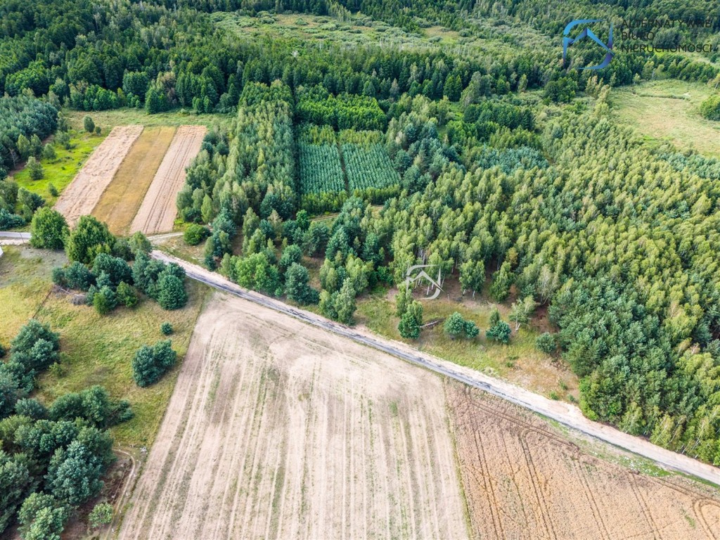 Grunt z potencjałem - 2504 m² - Serniki Kolonia - Widok 4