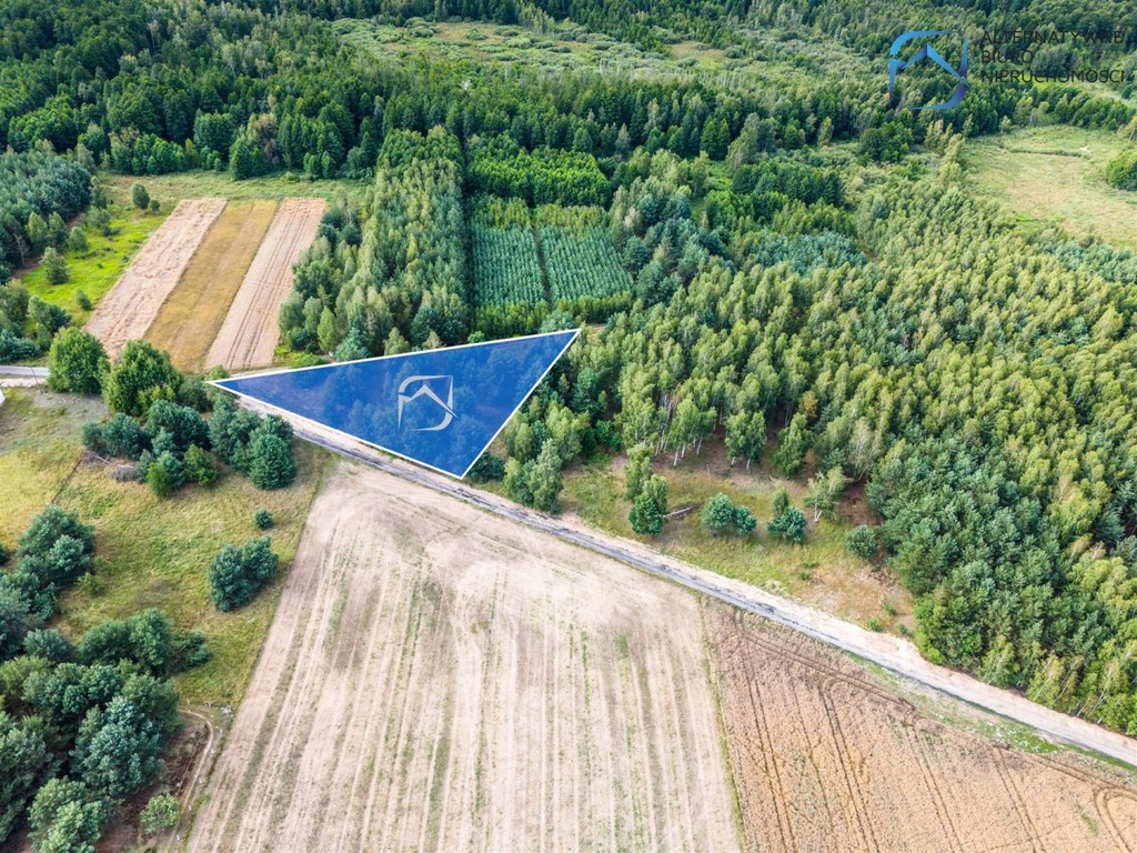 Grunt z potencjałem - 2504 m² - Serniki Kolonia - Widok 5