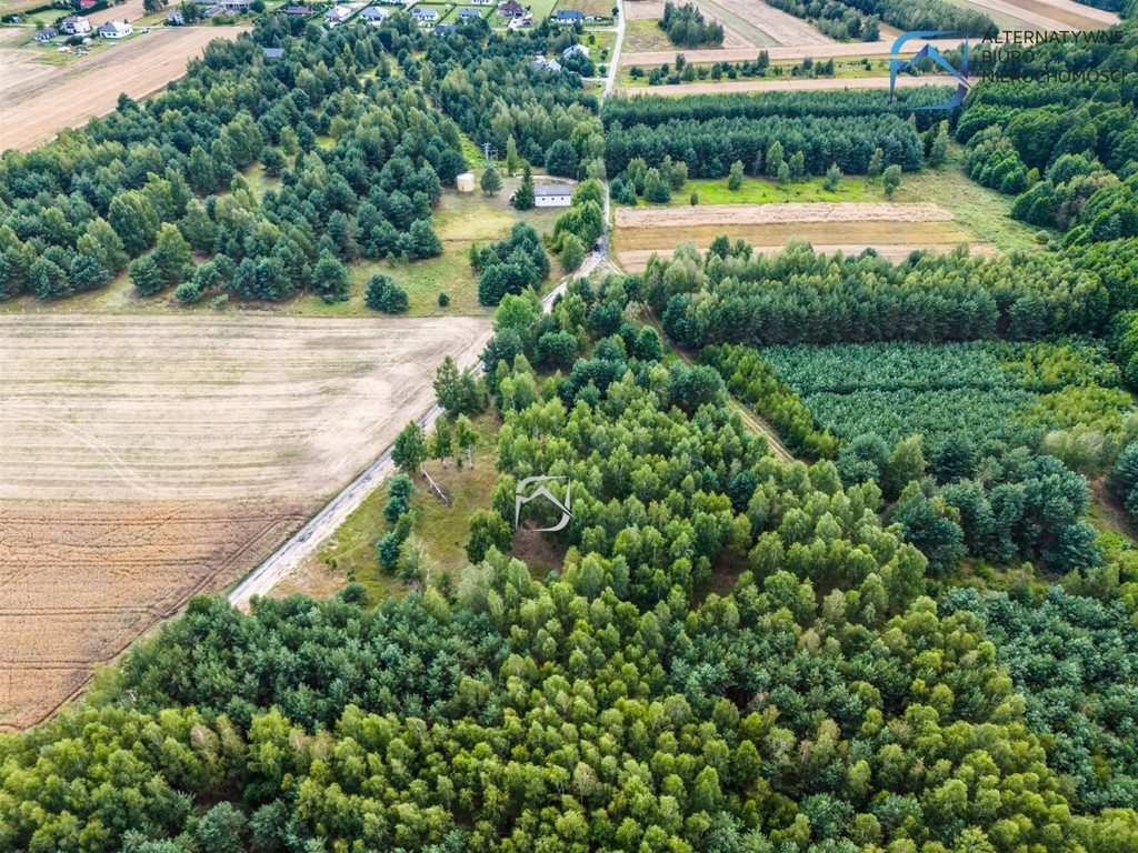Grunt z potencjałem - 2504 m² - Serniki Kolonia - Widok 6