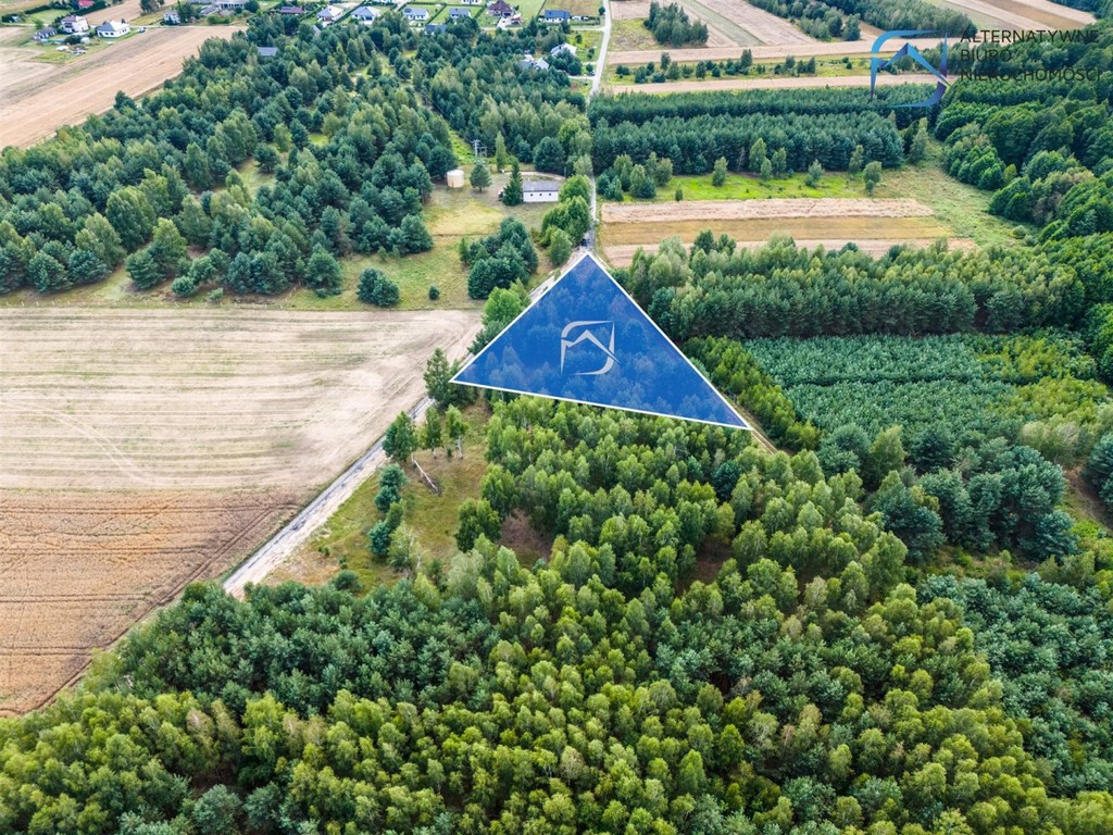 Grunt z potencjałem - 2504 m² - Serniki Kolonia - Więcej