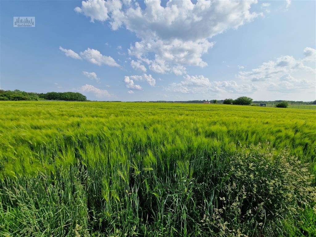 Mieszkanie | Pensjonat | Restauracja | Korty - Widok 5