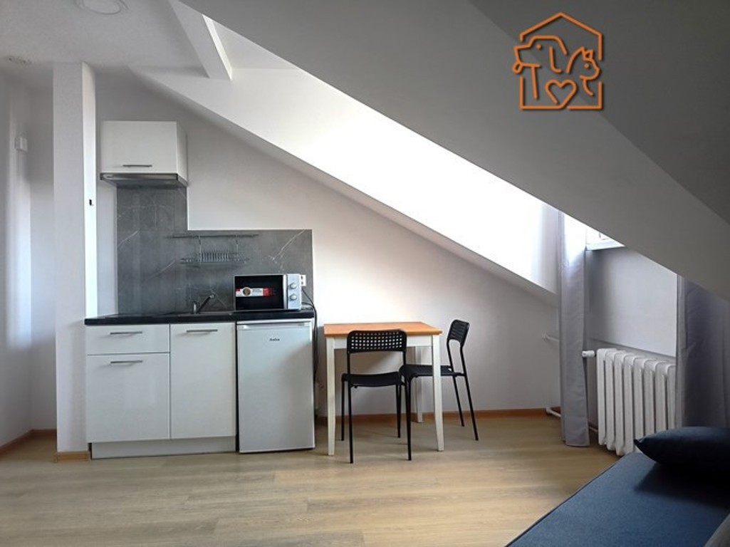 Wiejska 68, Nowe Miasto, kawalerka pet-friendly - Widok 2