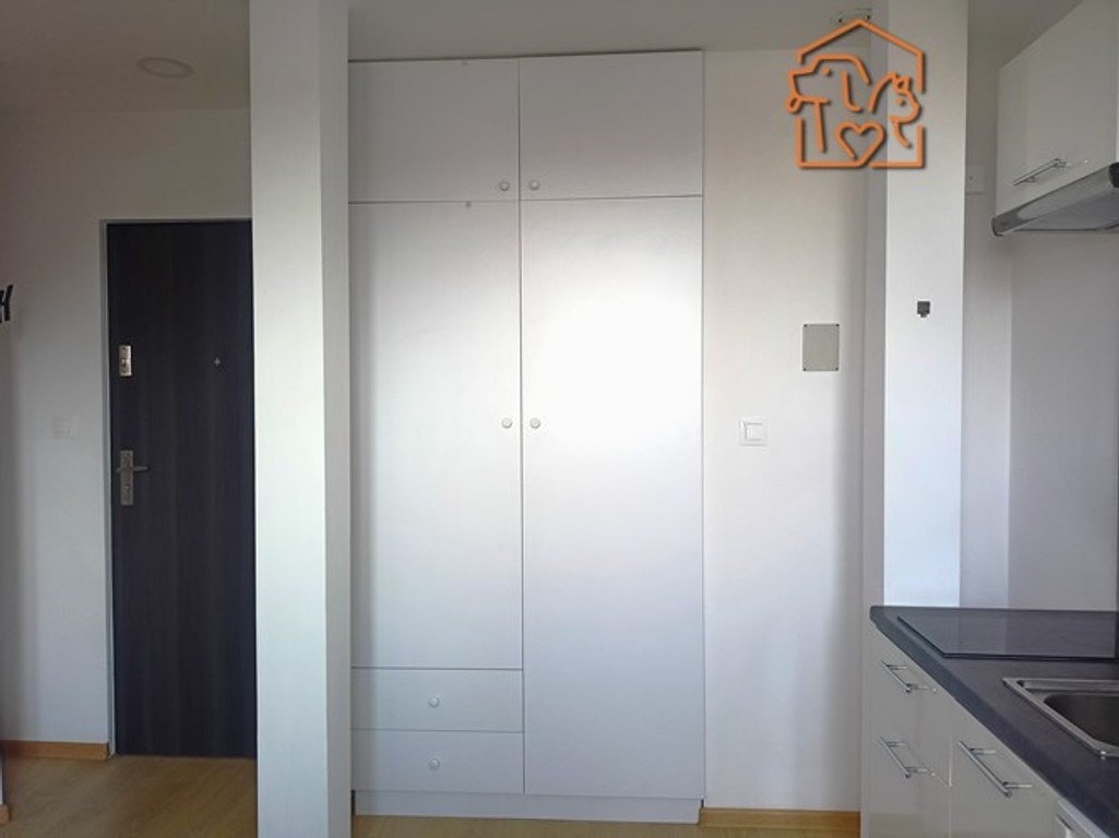 Wiejska 68, Nowe Miasto, kawalerka pet-friendly - Widok 4