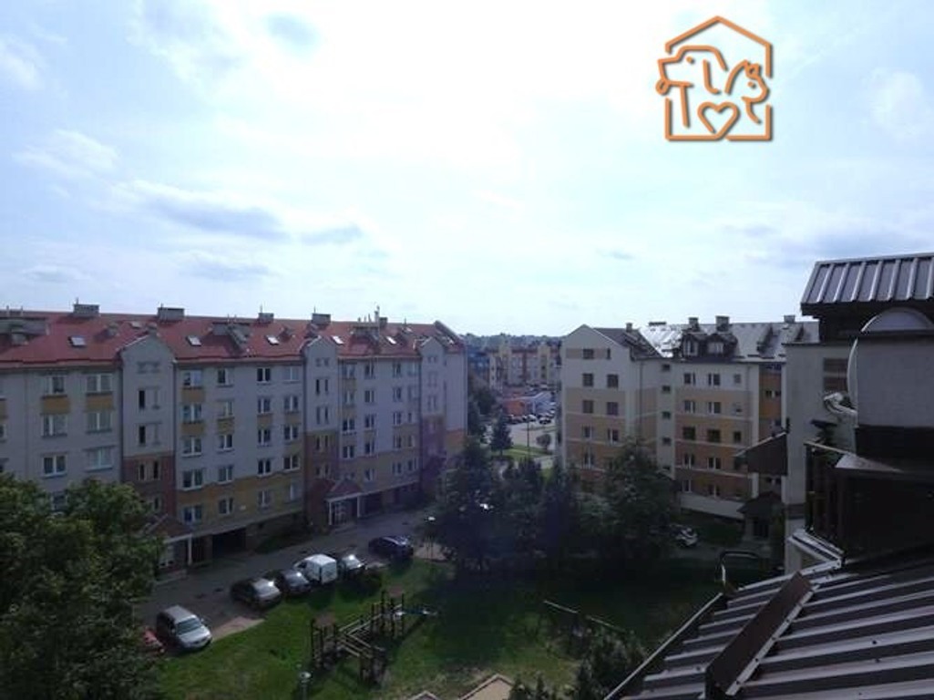 Wiejska 68, Nowe Miasto, kawalerka pet-friendly - Więcej