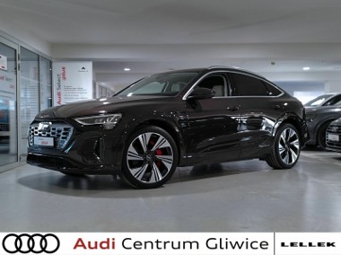 Audi e-tron Sline MatrixLED Akt Tempomat Dociągi B&O Indukcja CarPlay Went Fotel-1