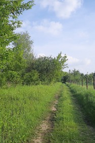 Działka rolna Wojcieszyn-2