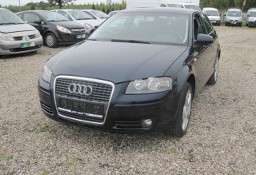 Audi A3 II (8P) audi a3 8p 1,6 benzyna dobrze utrzymana.