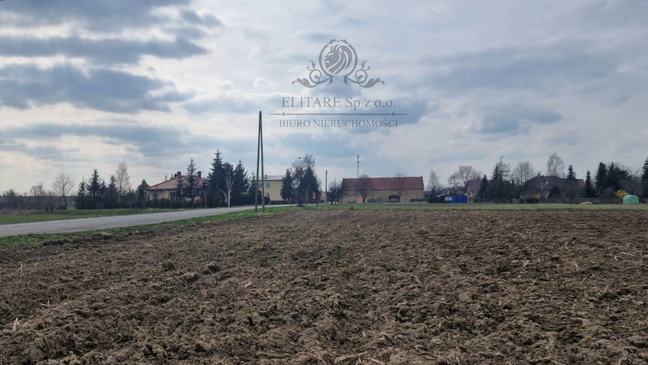 Działka budowlana/siedliskowa 3000 m² z MPZP Sokolniki gm. Kąty Wrocławskie - Widok 2