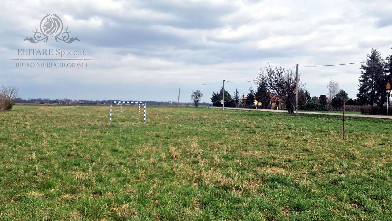 Działka budowlana/siedliskowa 3000 m² z MPZP Sokolniki gm. Kąty Wrocławskie - Widok 4