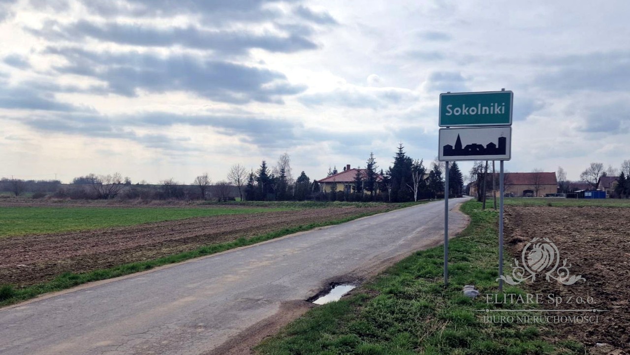 Działka budowlana/siedliskowa 3000 m² z MPZP Sokolniki gm. Kąty Wrocławskie - Widok 6