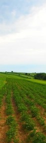 Działka rolna Garlica Murowana-4