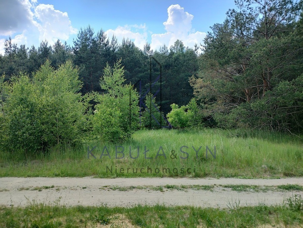 Rozalinowo-Piastowo _ Warunki zabudowy _ Media - Widok 3