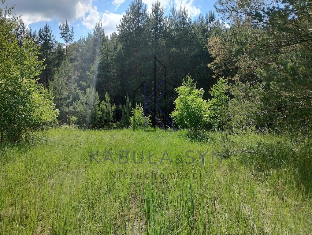 Rozalinowo-Piastowo _ Warunki zabudowy _ Media - Widok 4