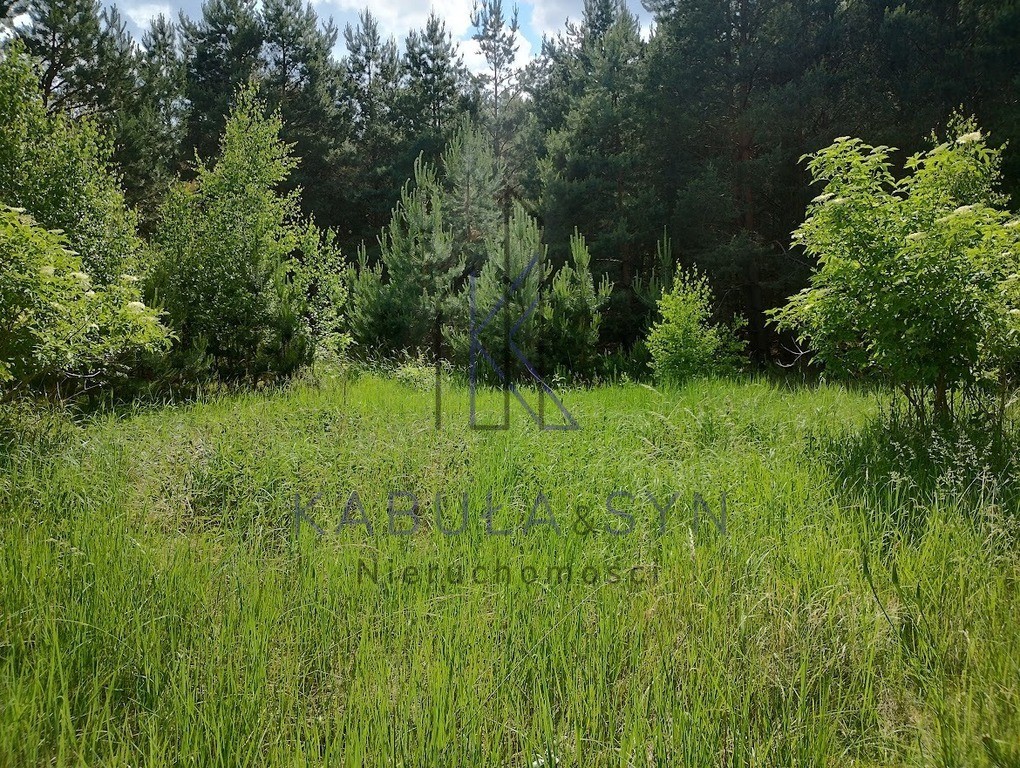 Rozalinowo-Piastowo _ Warunki zabudowy _ Media - Widok 5