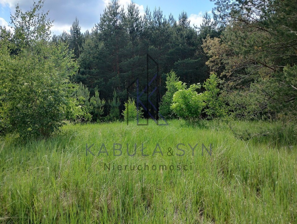 Rozalinowo-Piastowo _ Warunki zabudowy _ Media - Widok 6