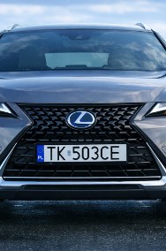 250h - PRESTIGE - 2019-2