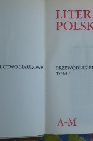 Literatura polska - przewodnik encyklopedyczny-2
