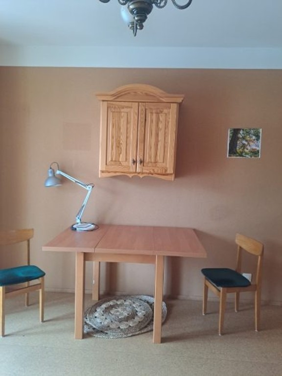 Garsoniera Złocień 31 m² - Widok 2