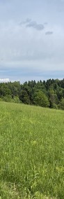Widokowa/Obok lasu/Myczkowce/2,49 ha-3