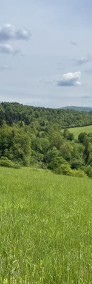Widokowa/Obok lasu/Myczkowce/2,49 ha-4
