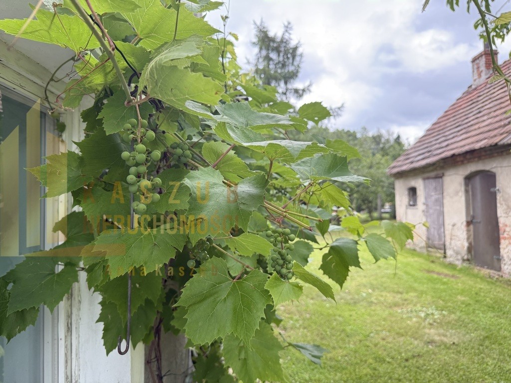 Posiadłość z potencjałem 0,72 ha Olbrachtów
