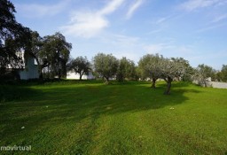 Dom Grândola E Santa Margarida Da Serra