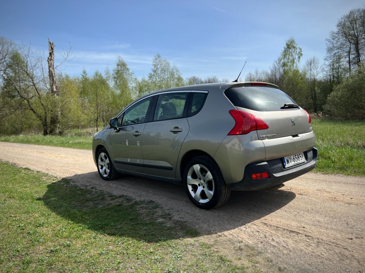 Peugeot 3008 I Panorama