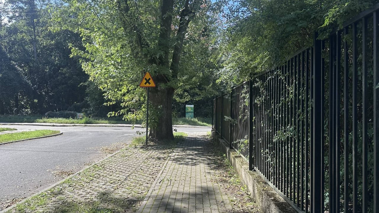 dom na sprzedaż