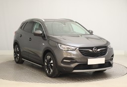 Opel Inny Opel , Salon Polska, Skóra, Navi, Klimatronic, Tempomat,