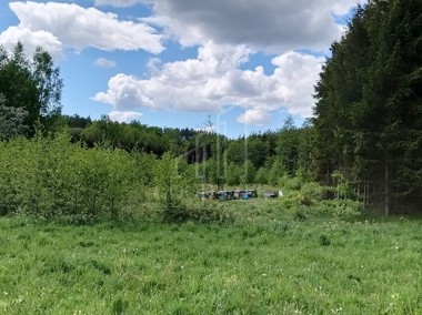 Działka rolna w Nowosadach koło Lidzbarka-1