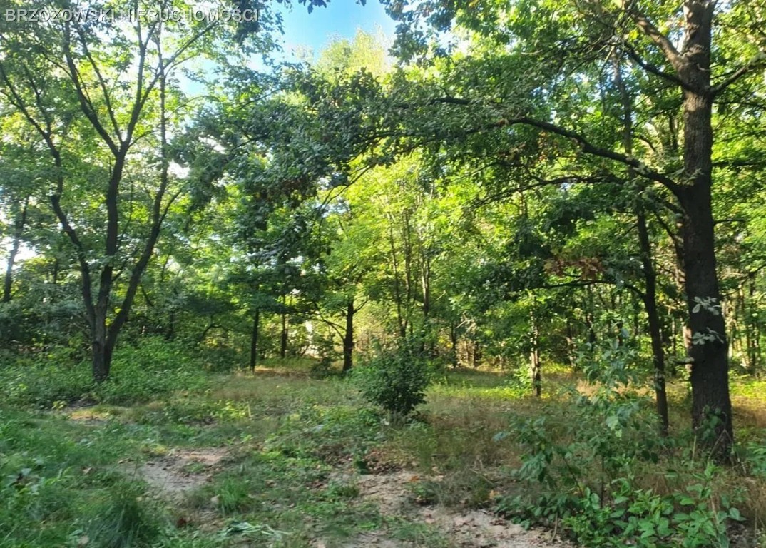 Żółwin, 110 m², MPZP, PnB, mieszkaniowa - Widok 3