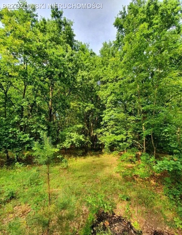 Żółwin, 110 m², MPZP, PnB, mieszkaniowa - Widok 4